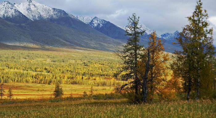 สถานที่ทางภูมิศาสตร์ Urals สภาพธรรมชาติและทรัพยากร